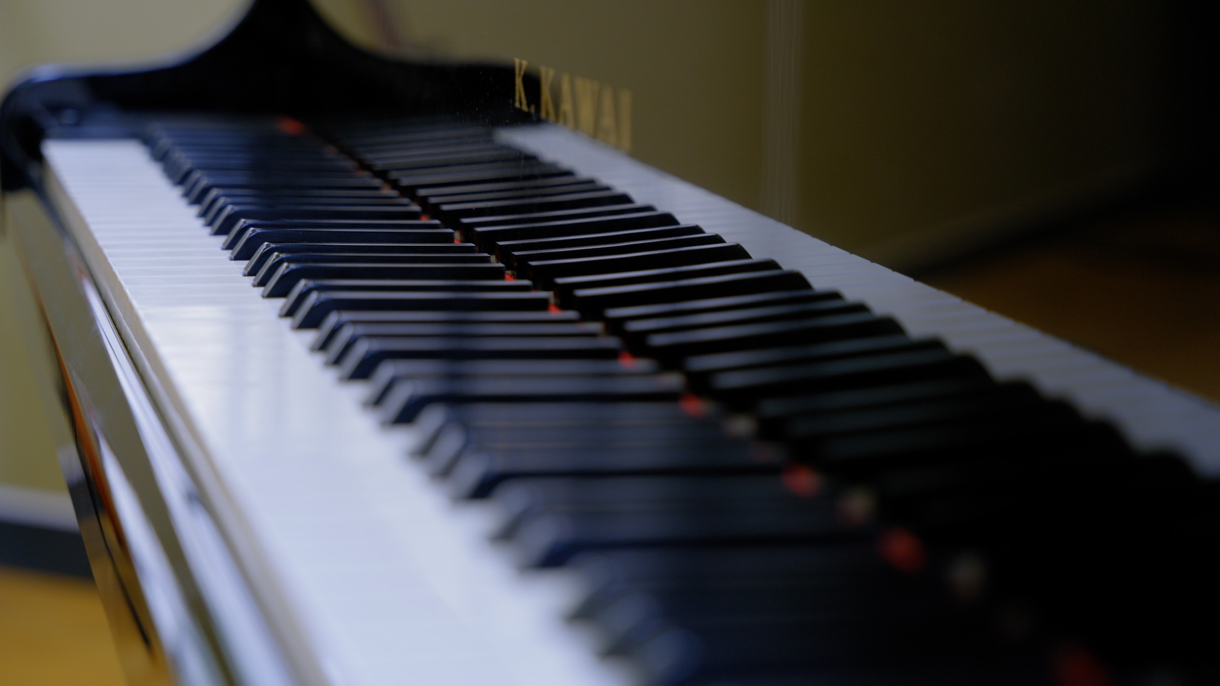 Close-up of black and white grand piano keys